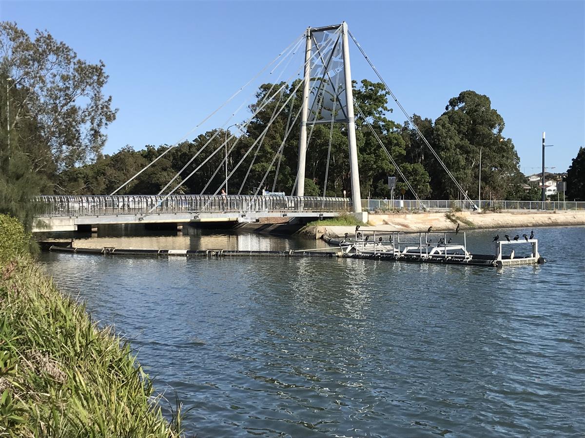 Iron cove creek pedestrian and cycle bridge with birds