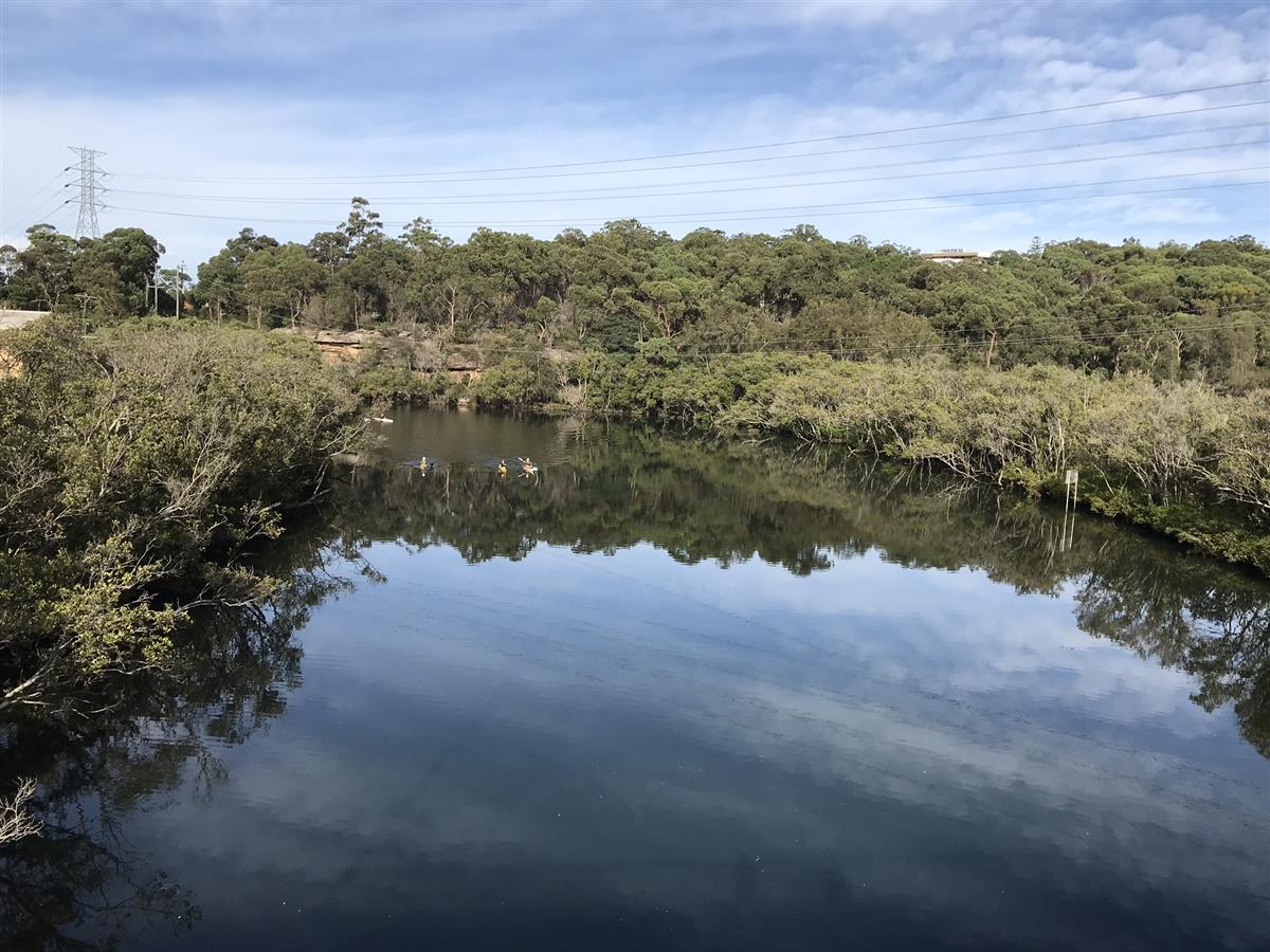 Lane Cove River from Epping Road Bridge
