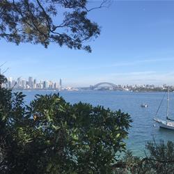 Taronga to Georges Head Guided Walking Tour Review