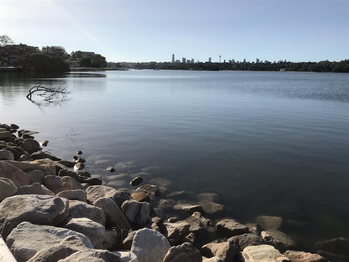 City skyline across the bay run