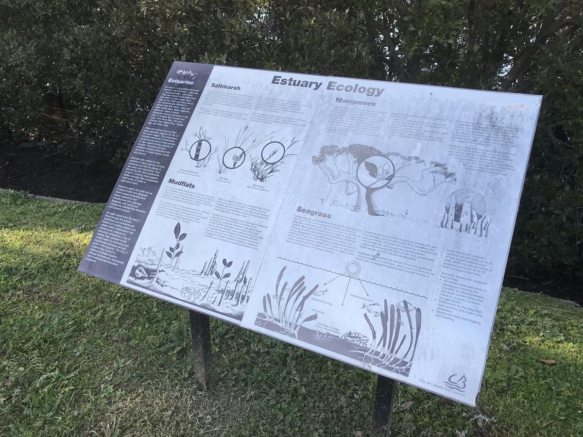 Estuary ecology along the bay run