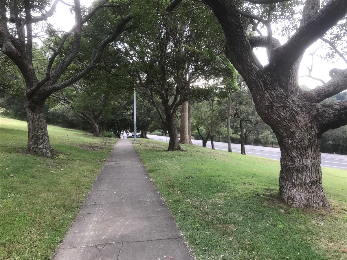 Brett park bay run sydney