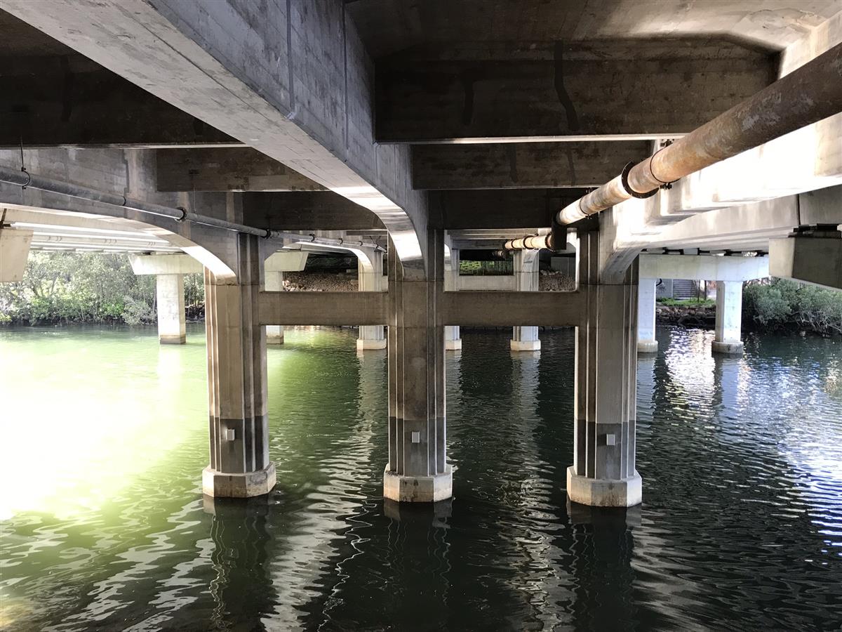 Walk under Epping Road bridge