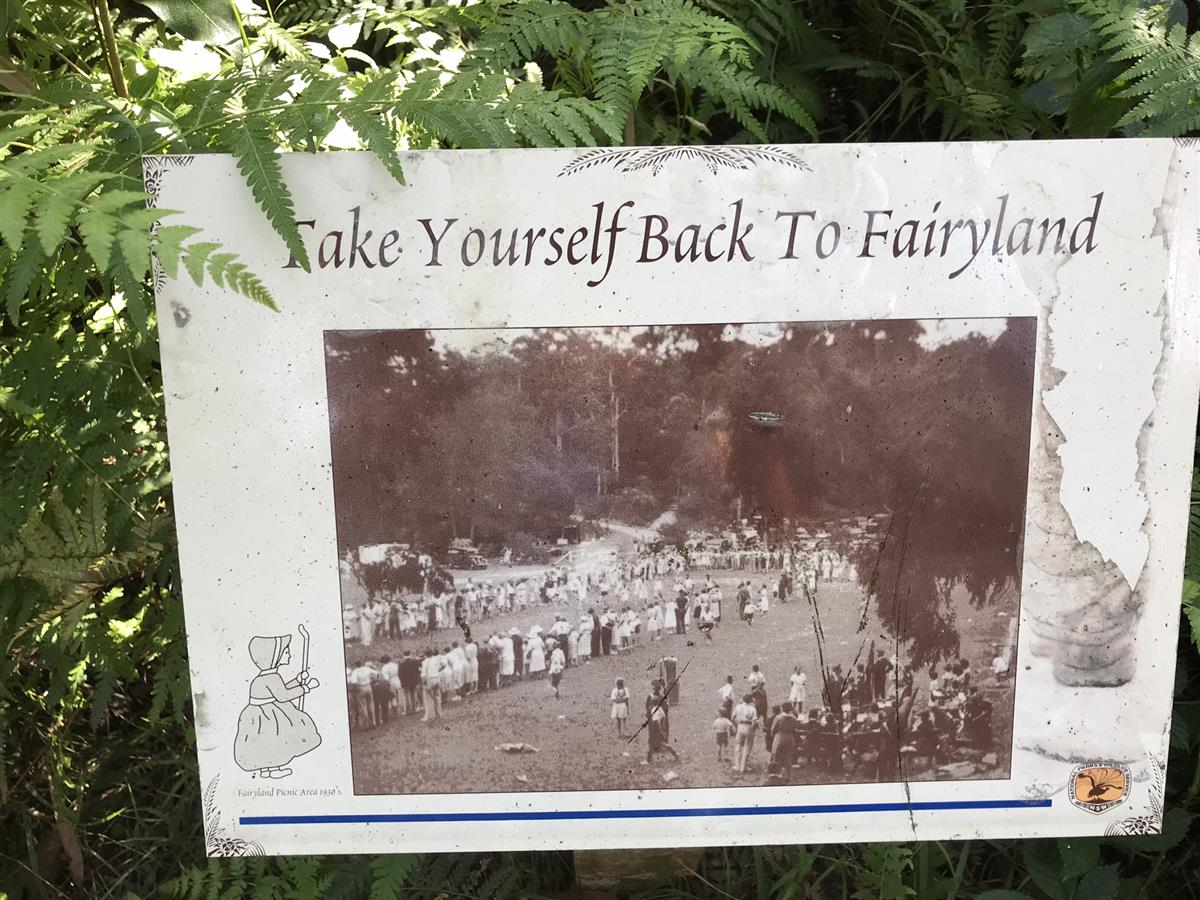 Take yourself back to Fairyland sign
