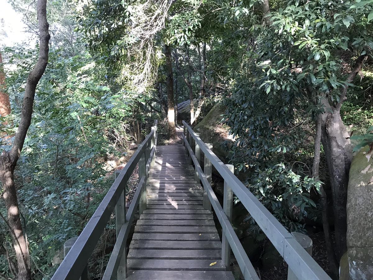 Wooden bridge