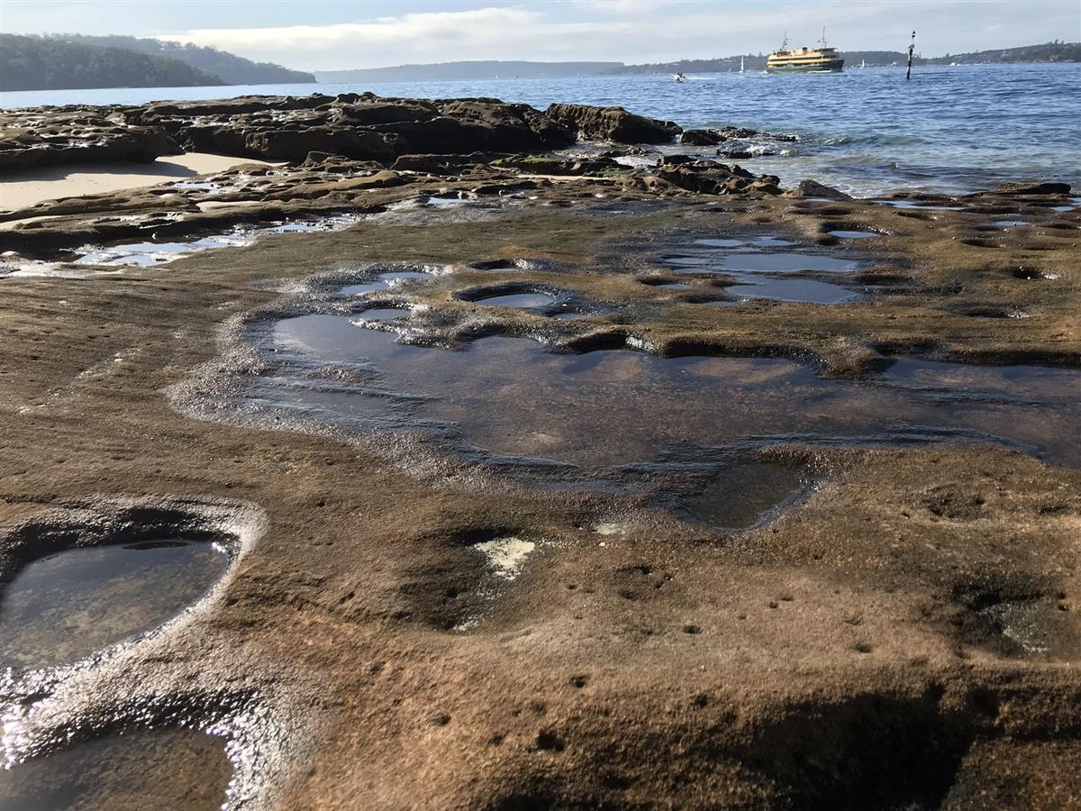 Bradleys Head Beach Manly Ferry