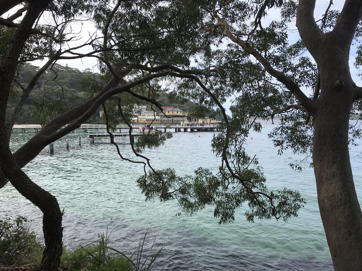 Chowder Bay View