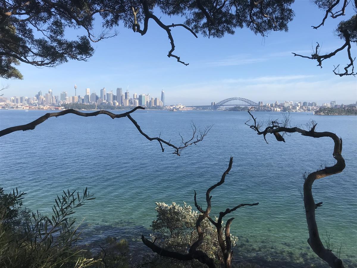 Sydney Harbour View