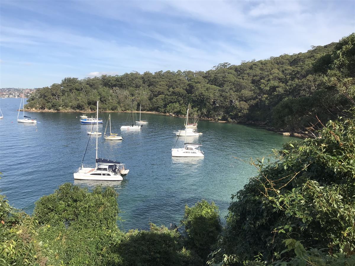 Taylors Bay view