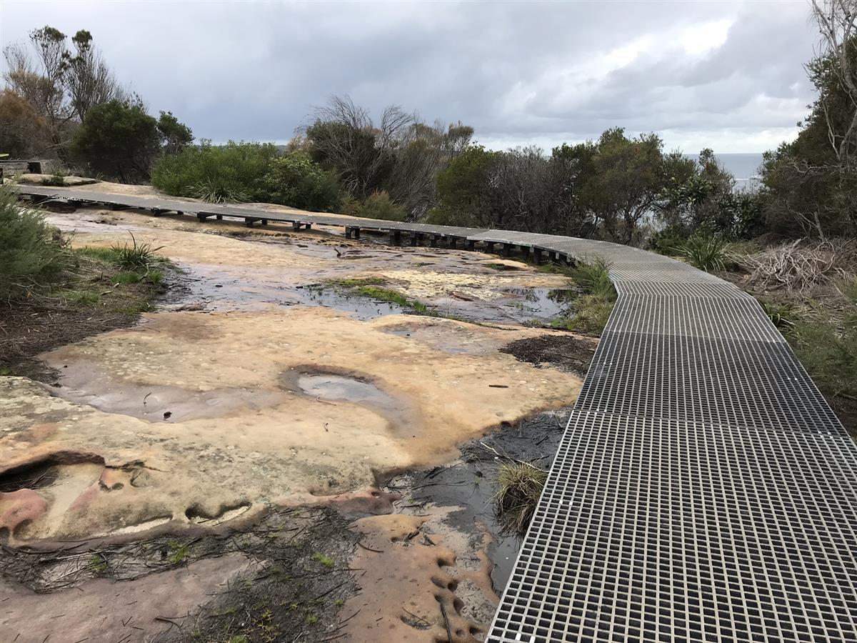 Aboriginal Engraving Site