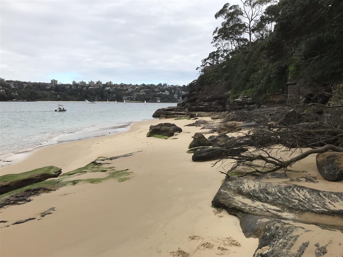 Castle Rock Beach