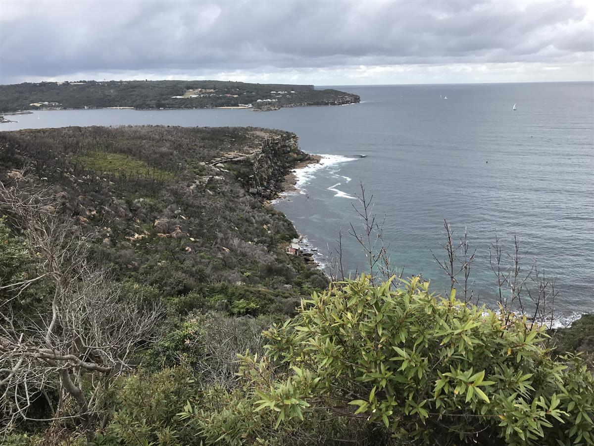 Crater Cove Look Out huts