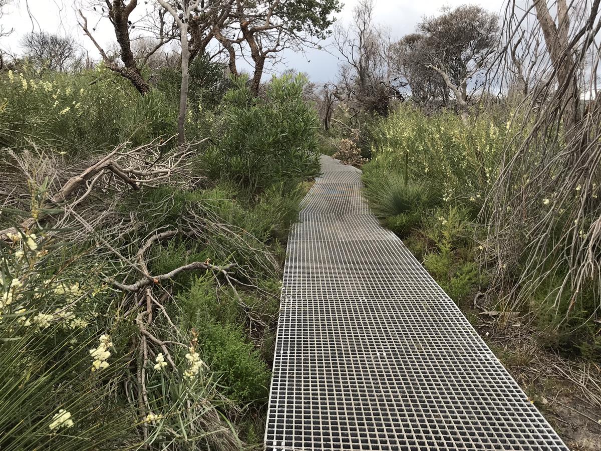 Boardwalk after Dobroyd Head