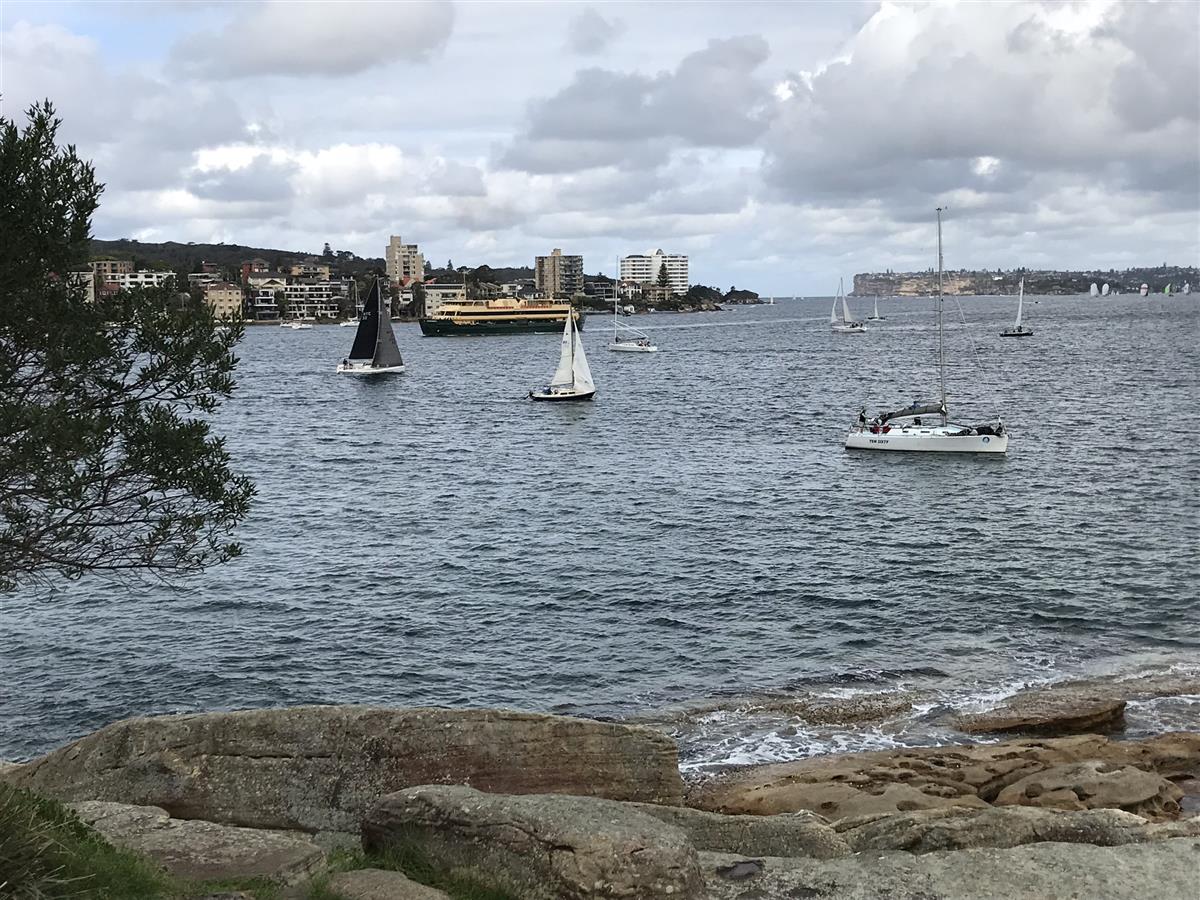 Fairlight Beach views