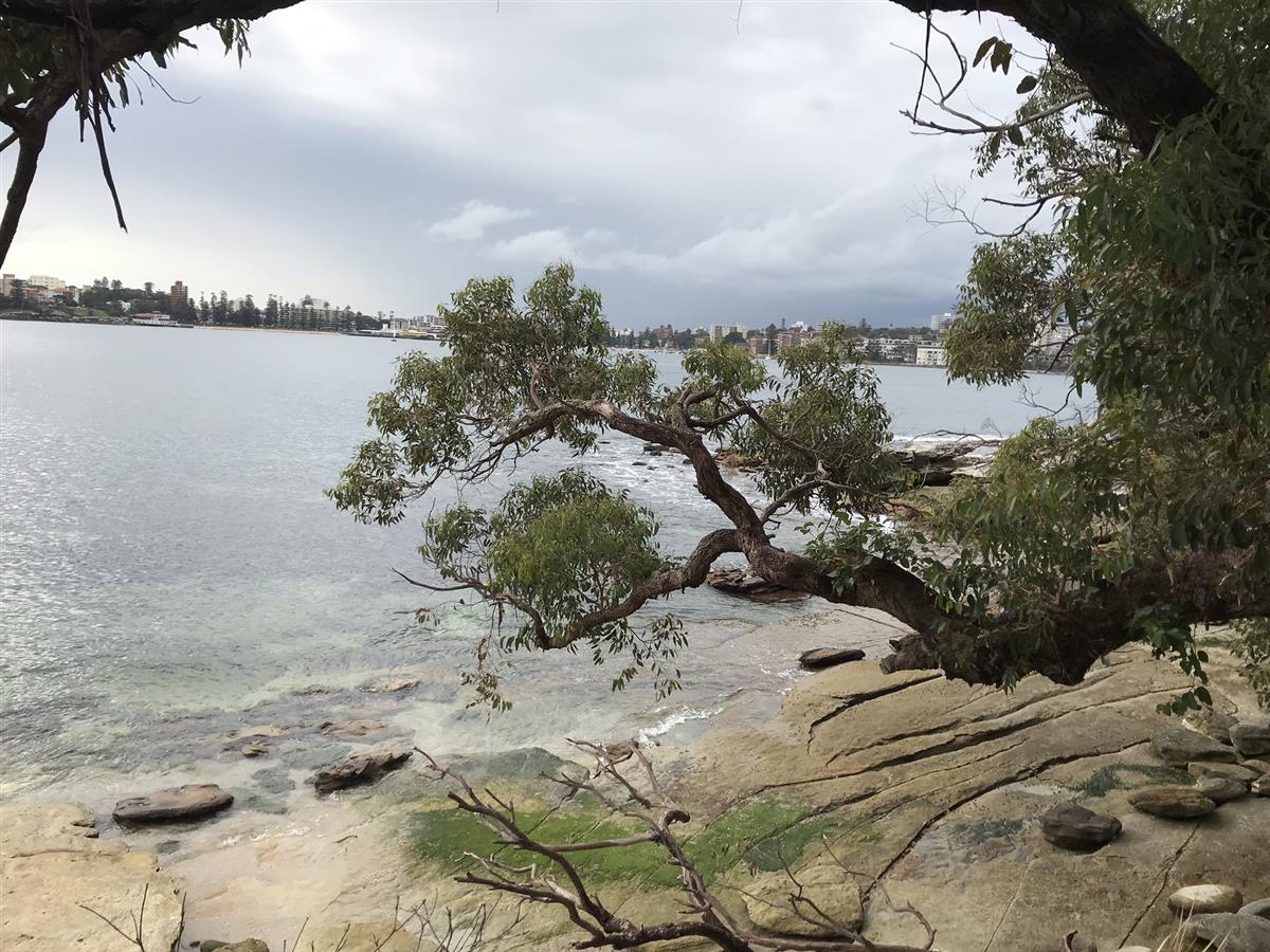 Forty Baskets Beach