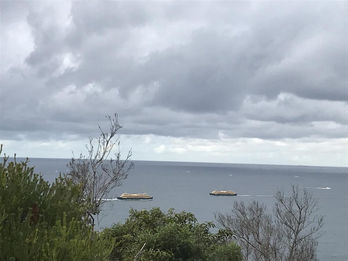 Manly Ferries crossing