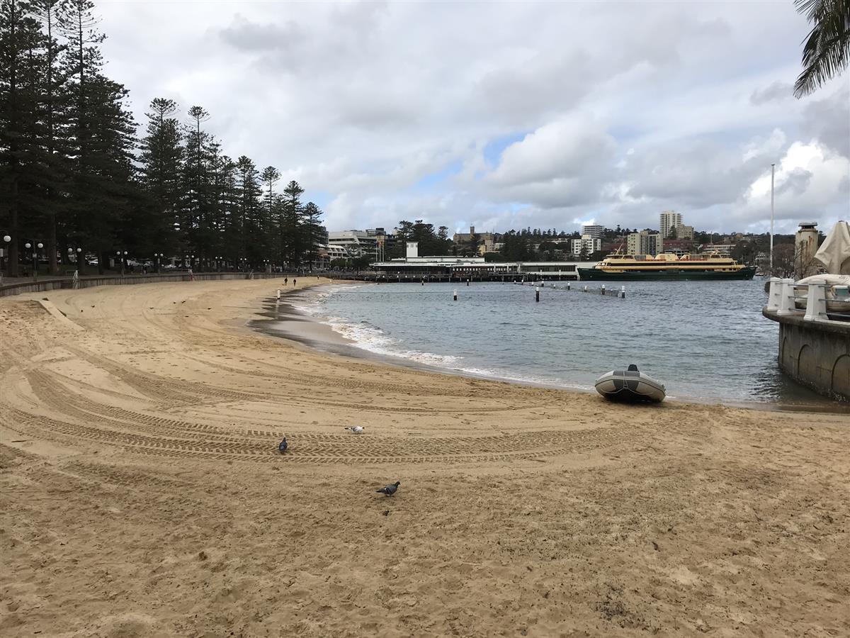 Manly Cove Beach