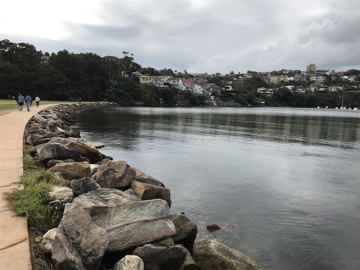 North Harbour Reserve walkway