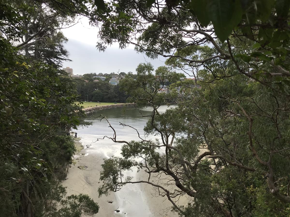 View over North Harbour Reserve