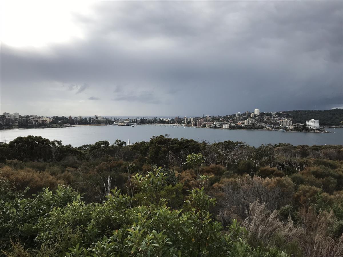 Views over Manly Wharf