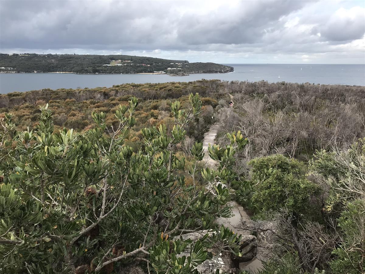 Views over Manly