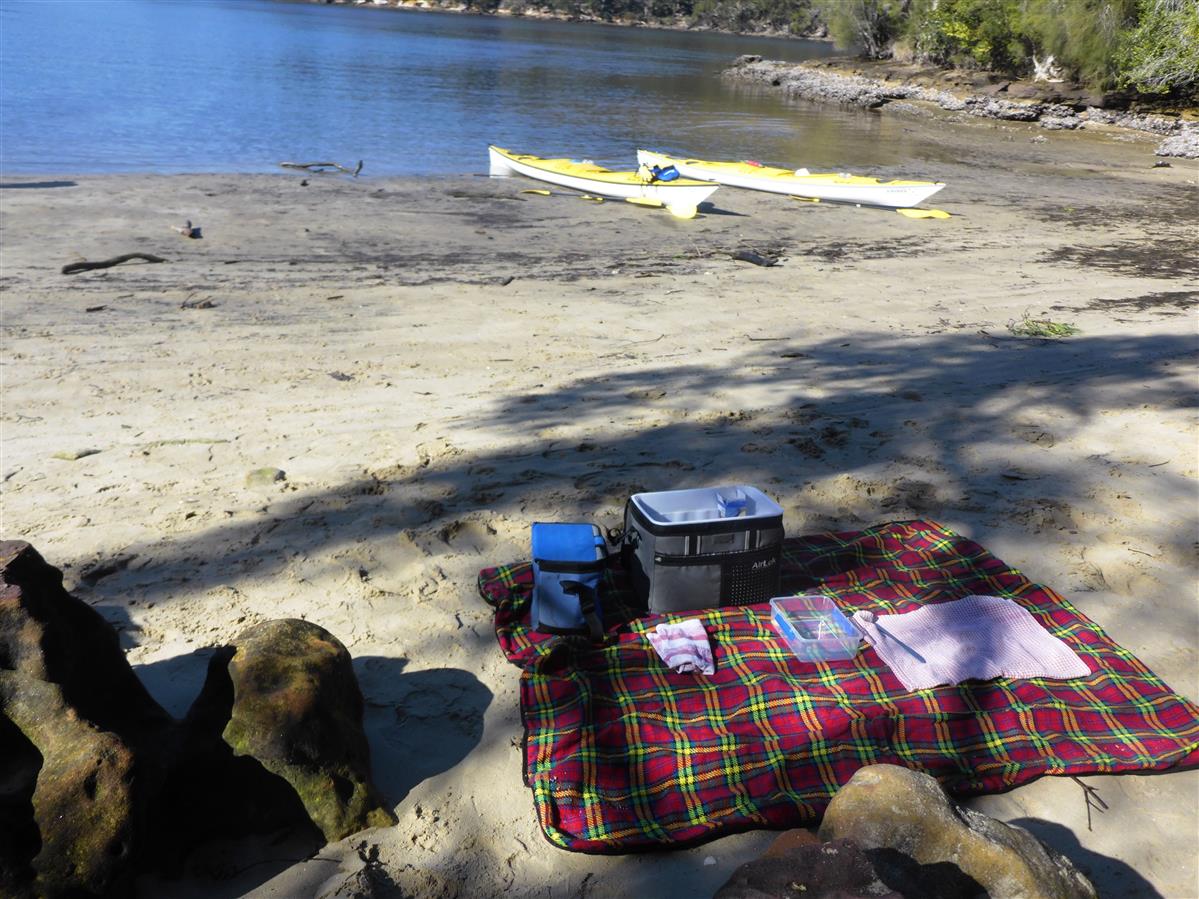 Picnic blanket lunch