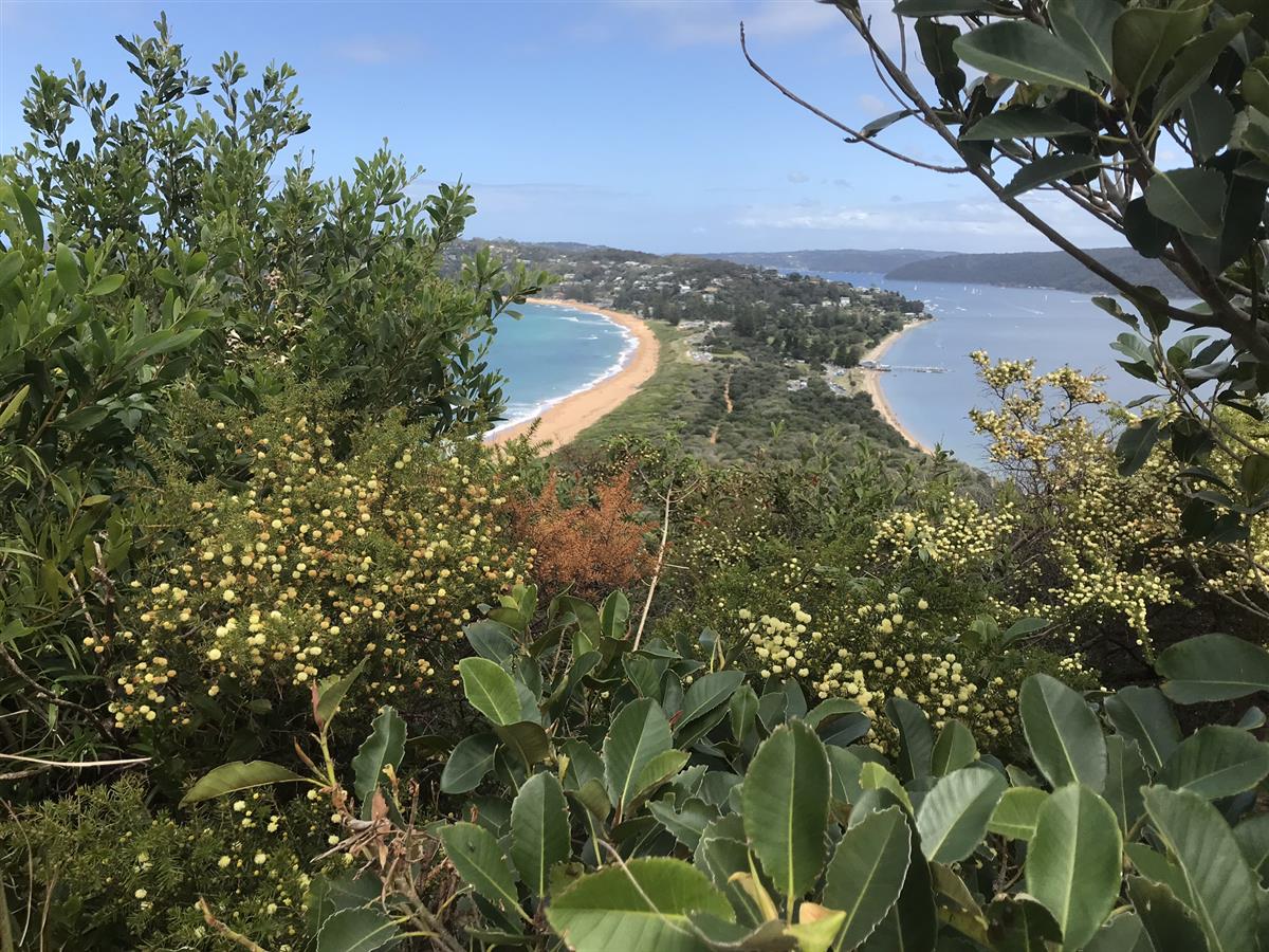 Views from Barrenjoey Lighthouse Palm Beach