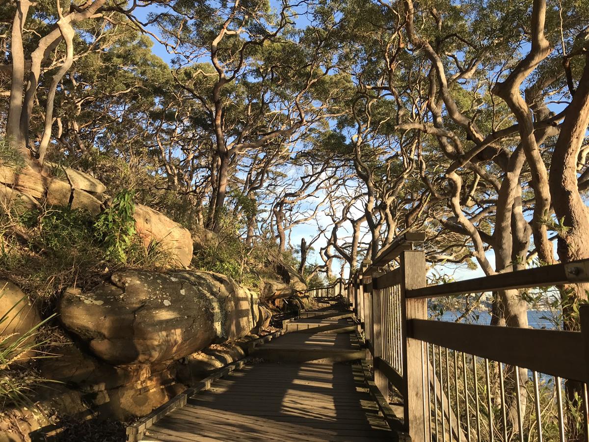 Walking Sydney in Spring sunset