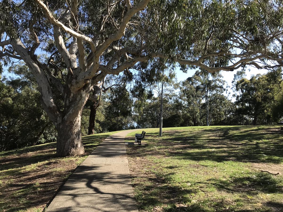 Walking through Quarantine Reserve Abbotsford