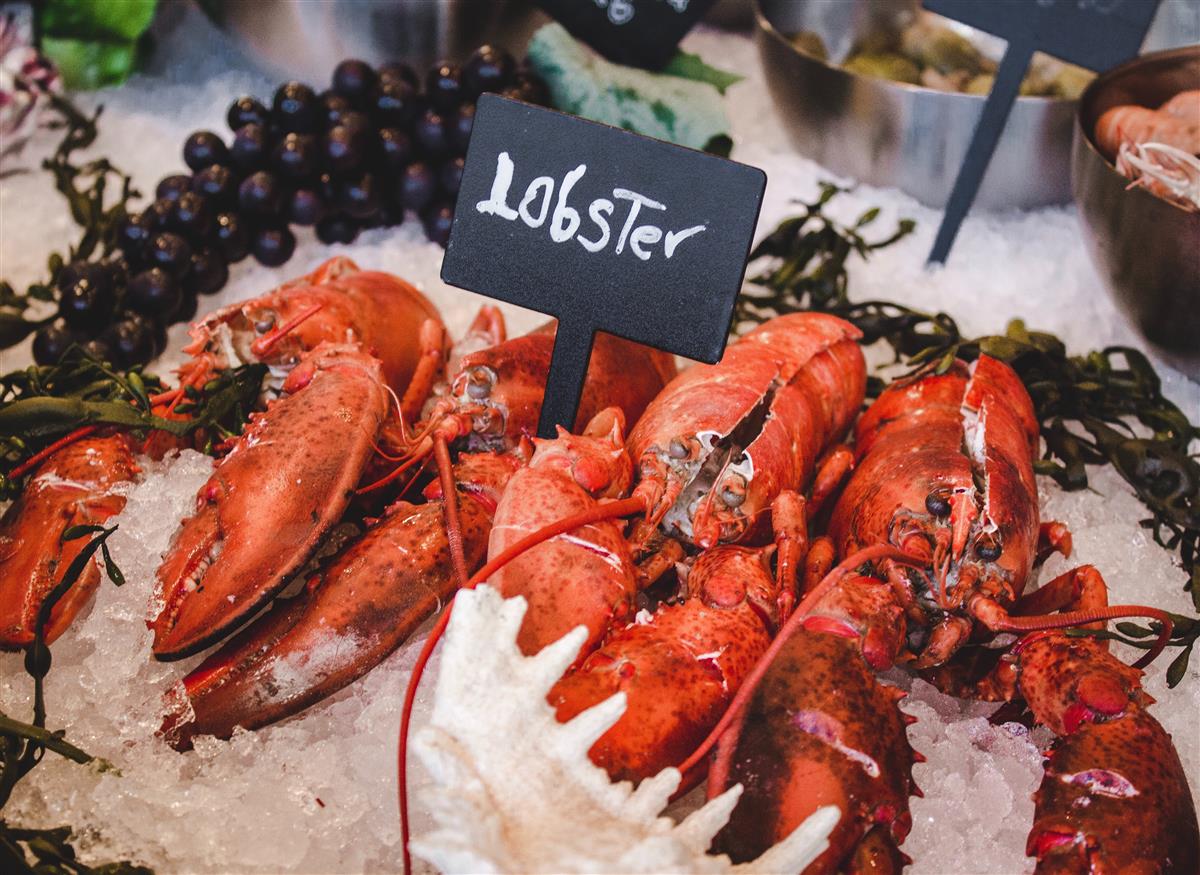 Lobster day 15 june Lobster day 15 june