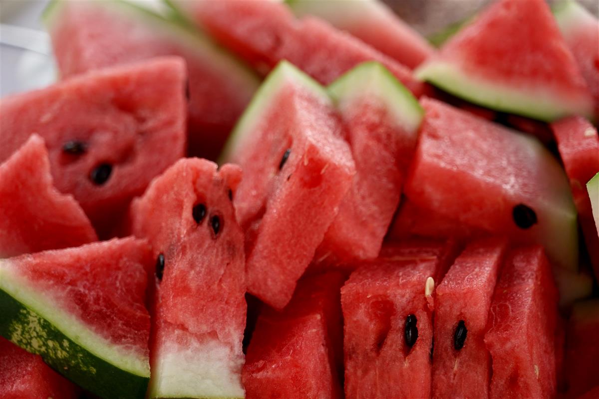 Watermelon Day 3 August