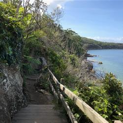 Take a virtual hike with 7 of Sydney's best walks